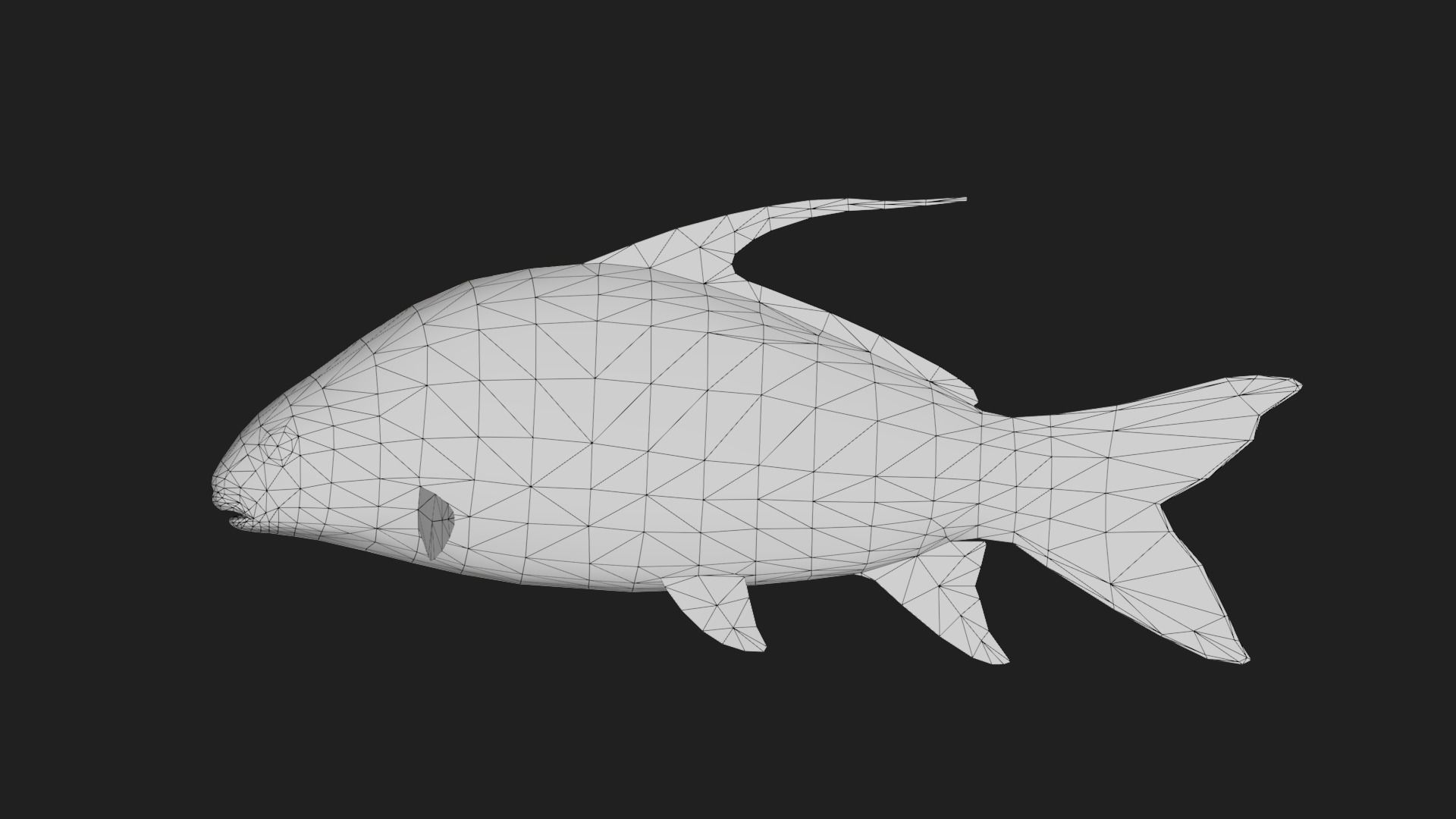 Carp fish Low-poly 3D model_1