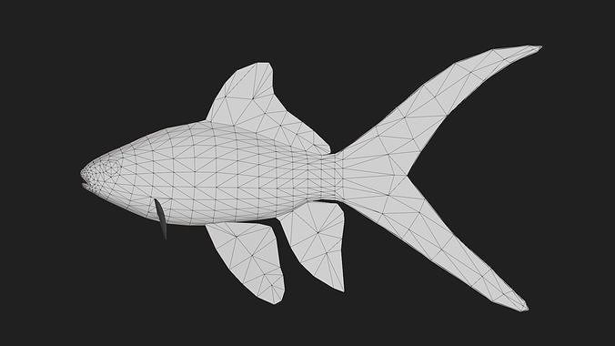 Carp fish Low-poly 3D model 2