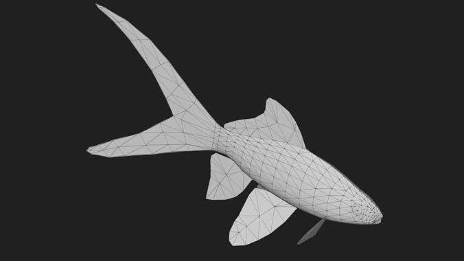 Carp fish Low-poly 3D model 6