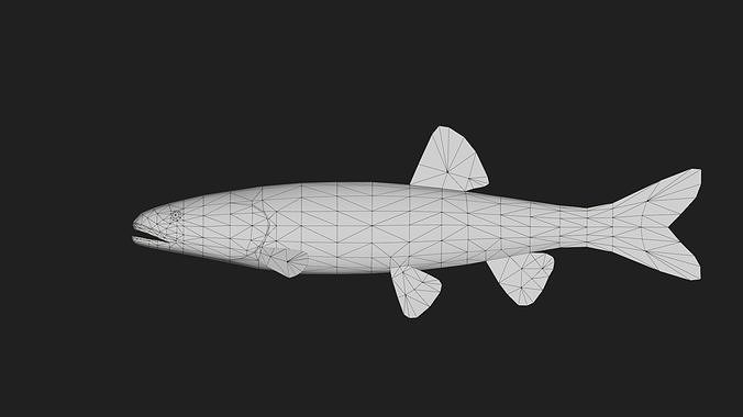 Carp fish Low-poly 3D model 2