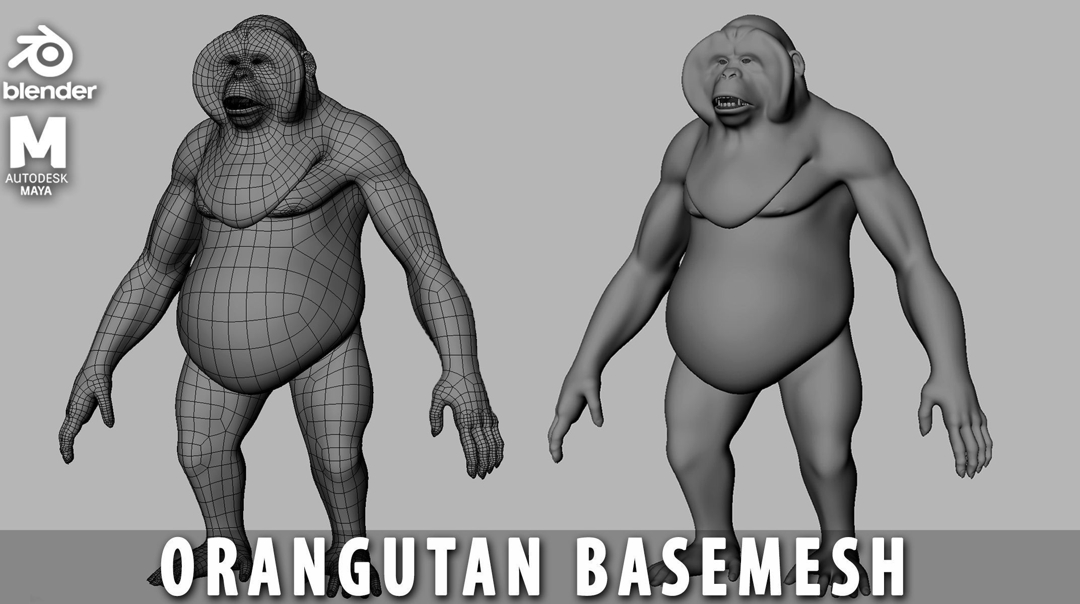 Primate  BaseMesh II Chimpanzee I Gorilla I Monkey I Orangutan 3D Model Collection_5