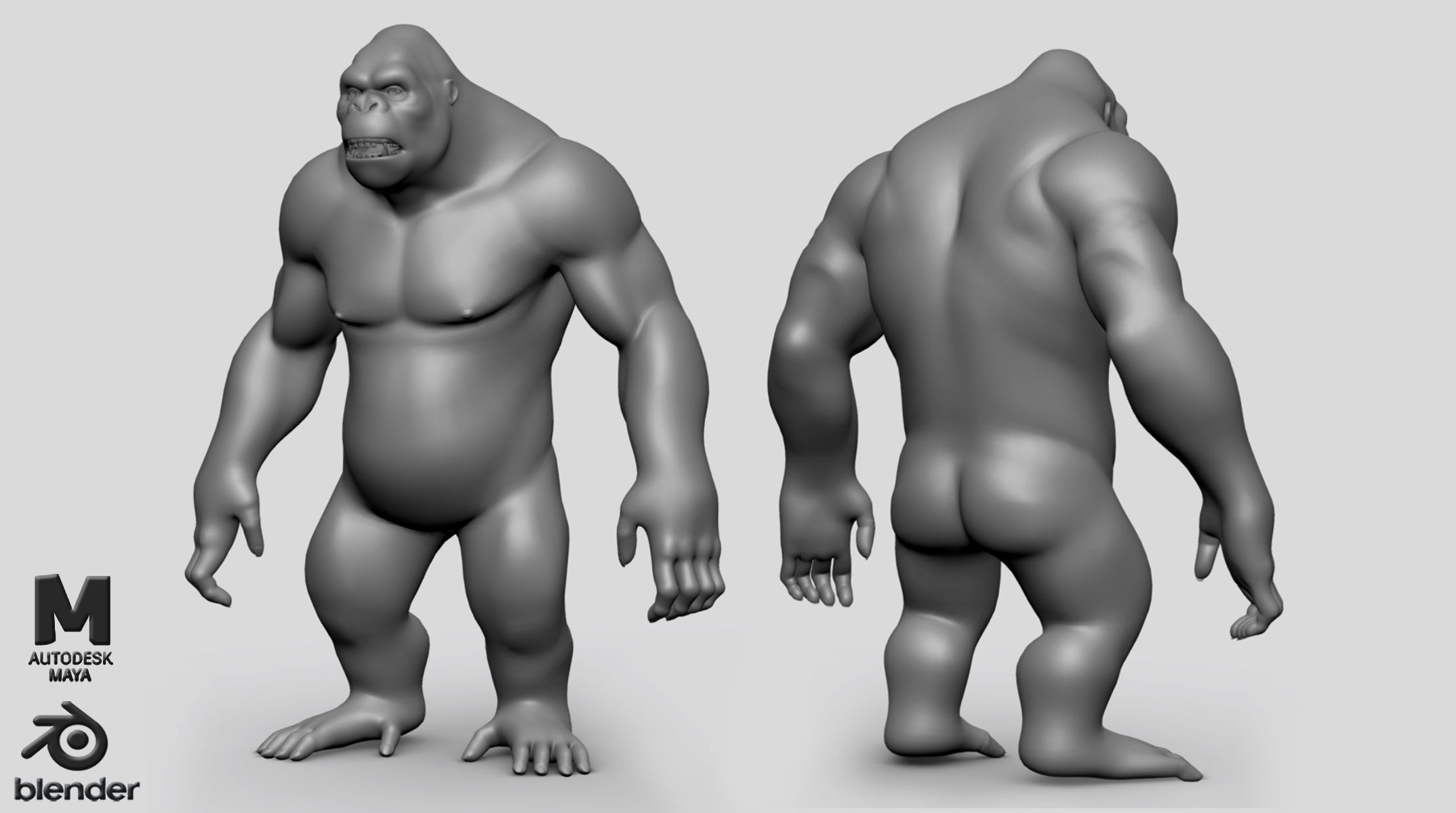 Primate  BaseMesh II Chimpanzee I Gorilla I Monkey I Orangutan 3D Model Collection_2