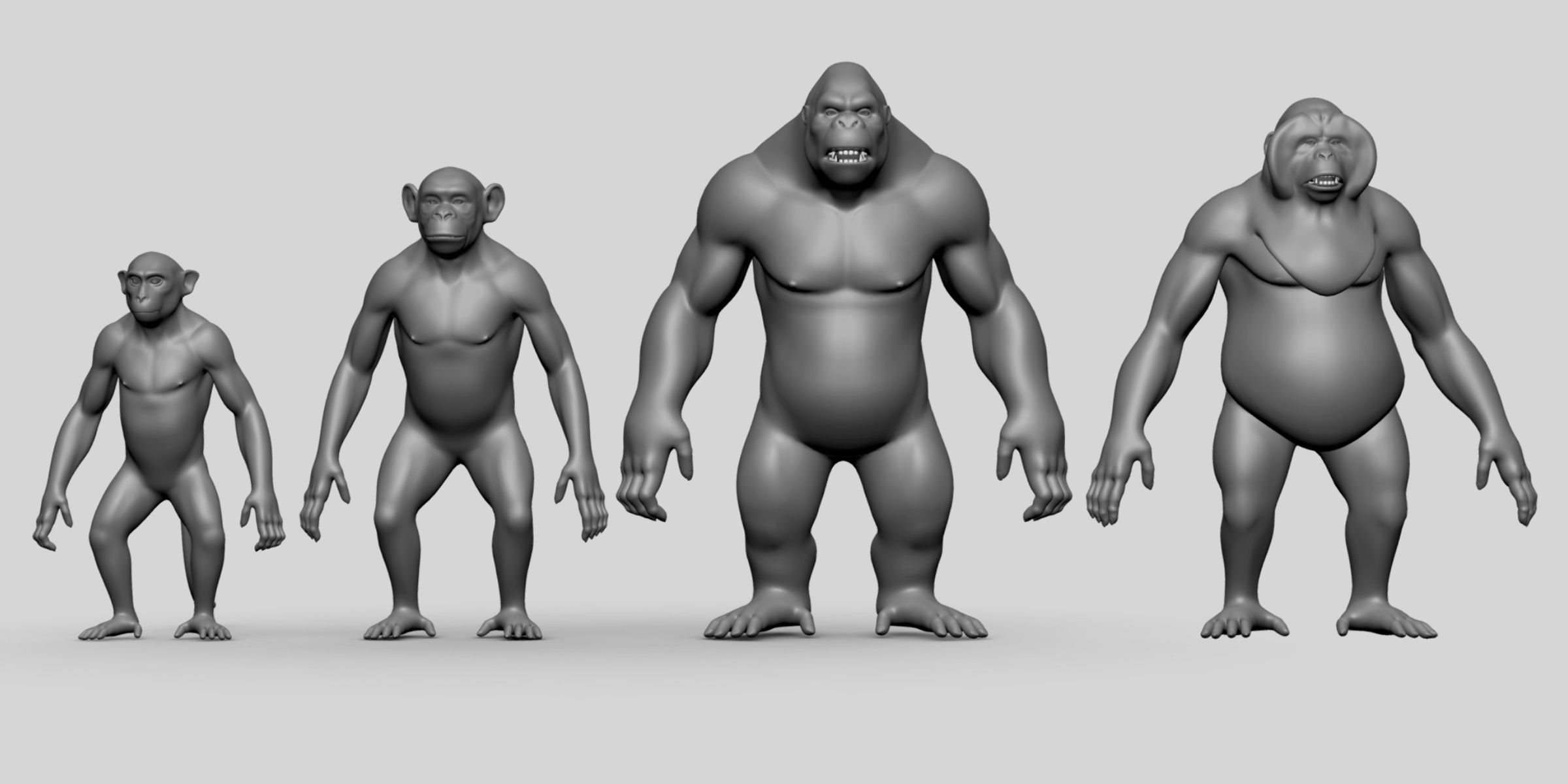 Primate  BaseMesh II Chimpanzee I Gorilla I Monkey I Orangutan 3D Model Collection_1