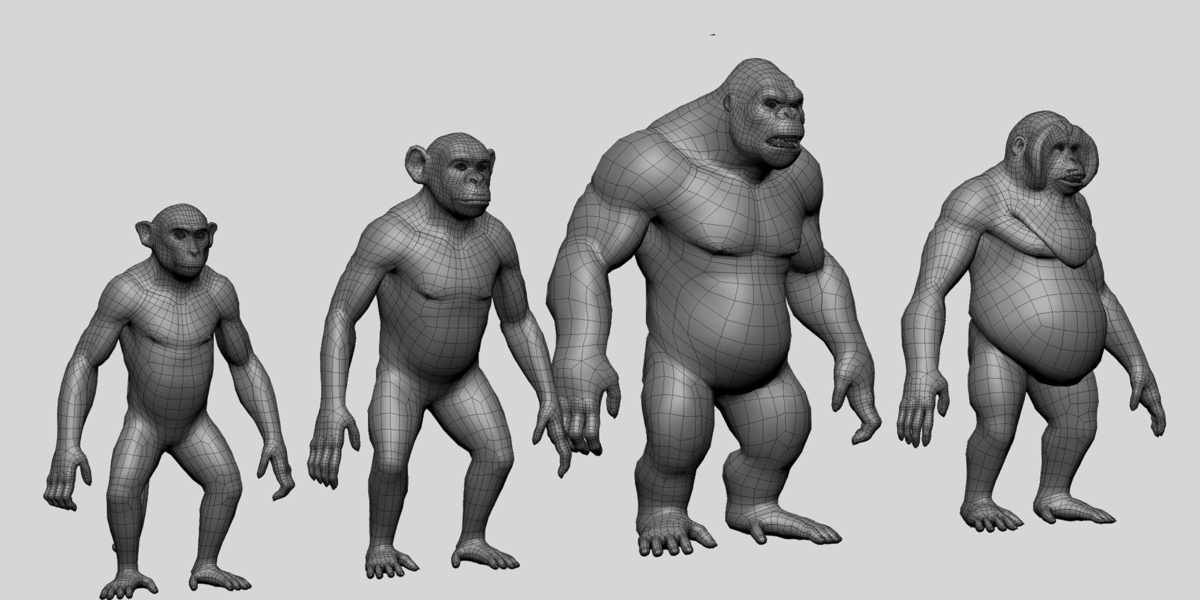 Primate  BaseMesh II Chimpanzee I Gorilla I Monkey I Orangutan 3D Model Collection_9
