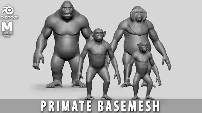 Primate  BaseMesh II Chimpanzee I Gorilla I Monkey I Orangutan 3D Model Collection