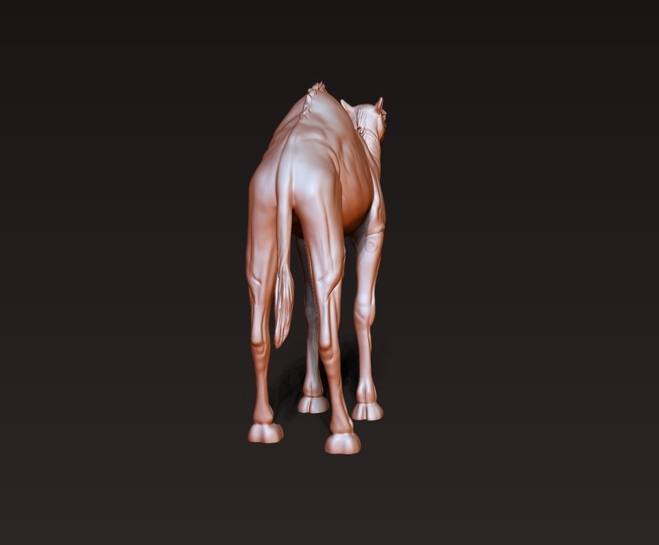 Camel 3D model ready to print 3D print model_5