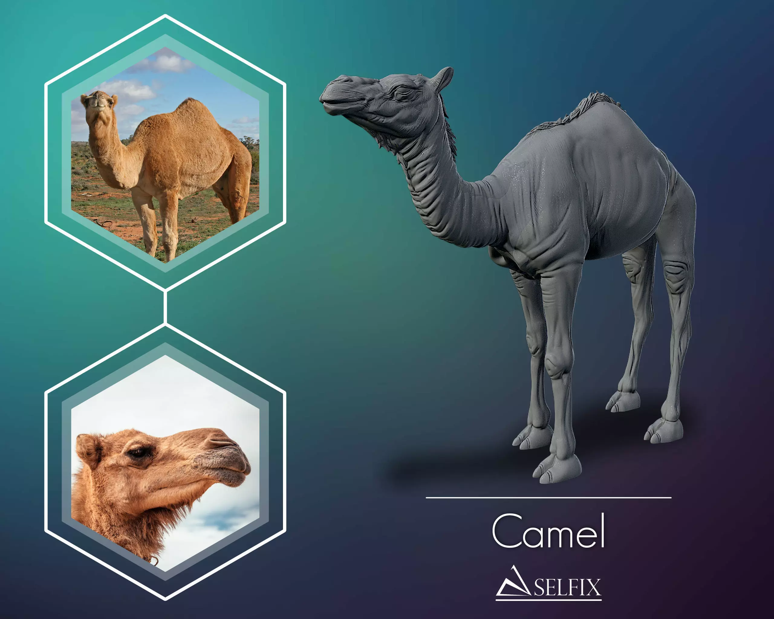 Camel 3D model ready to print 3D print model_0