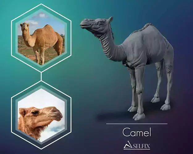 Camel 3D model ready to print 3D print model