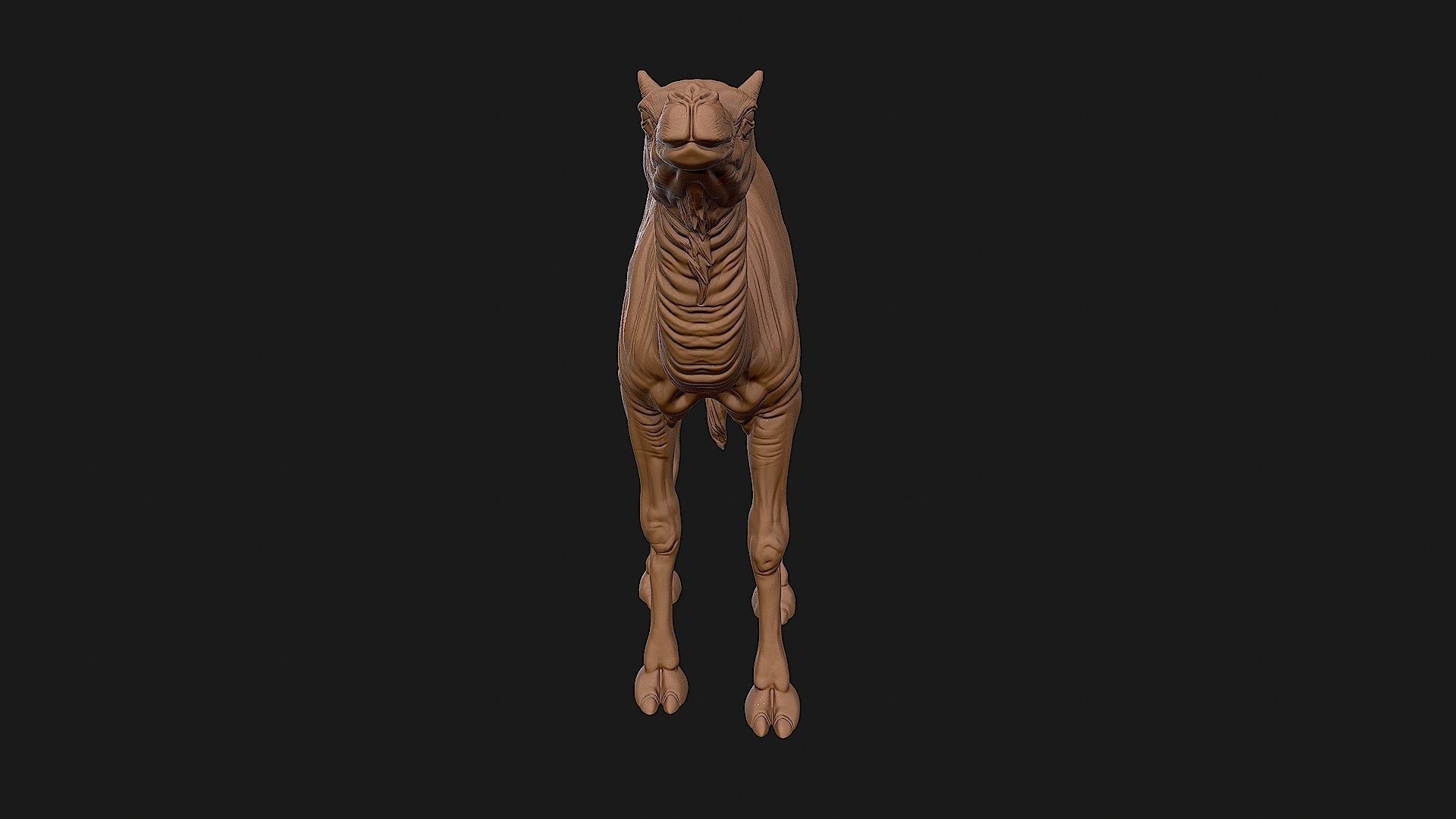 Camel 3D model ready to print 3D print model_16