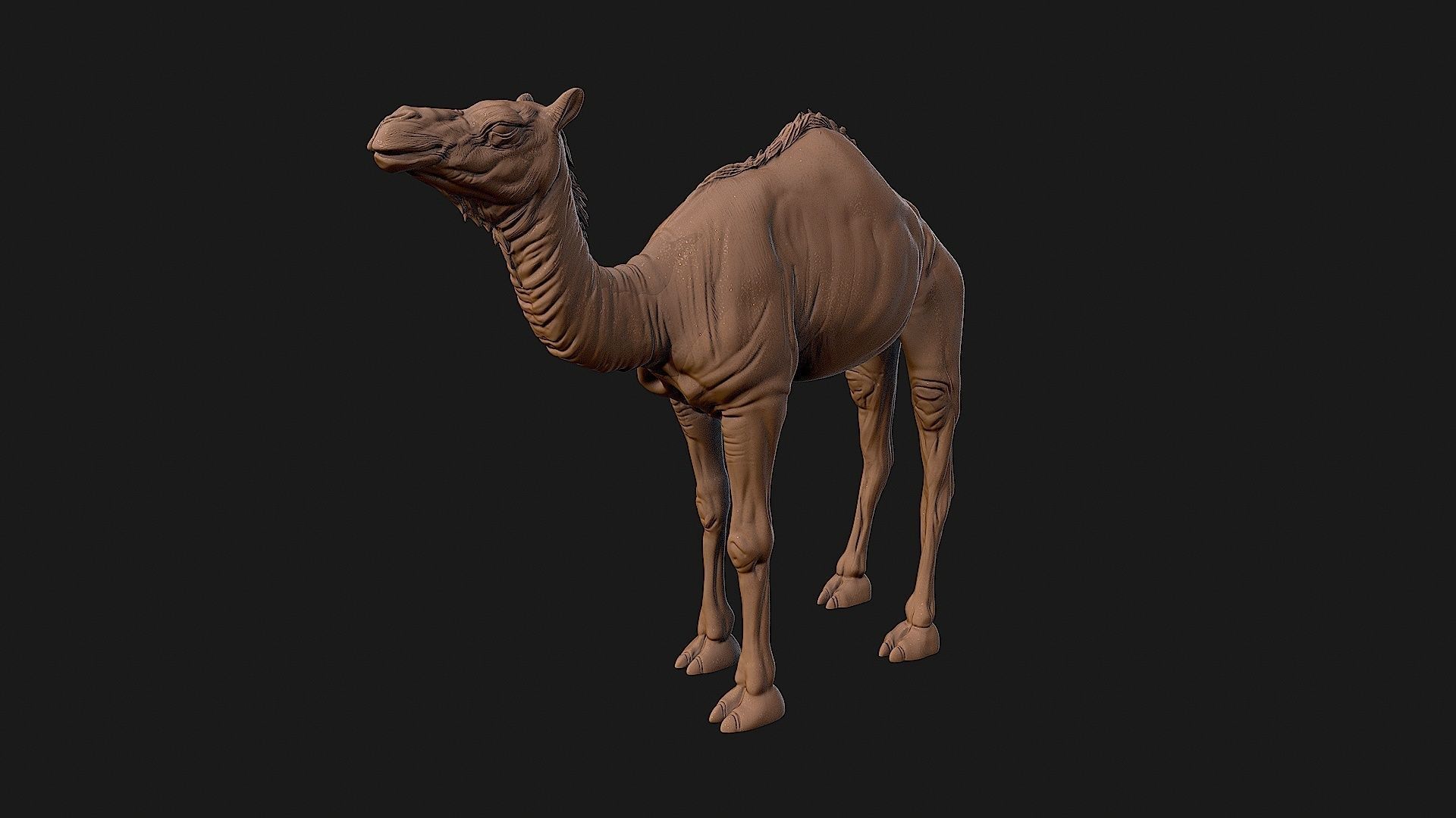 Camel 3D model ready to print 3D print model_18