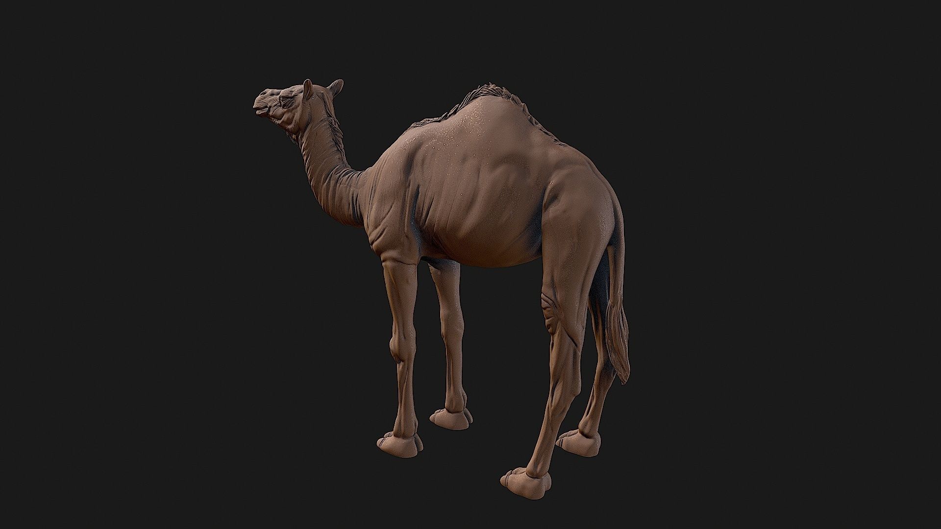 Camel 3D model ready to print 3D print model_20