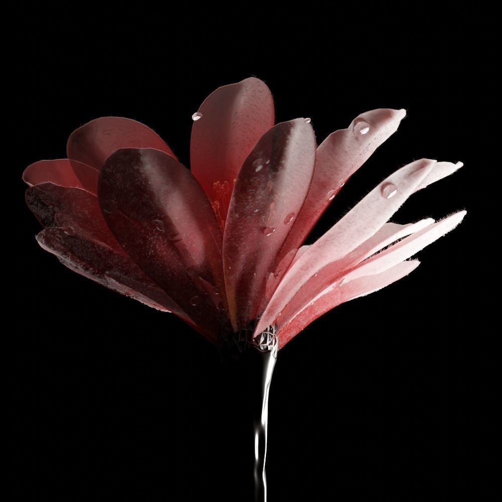 Unique Flower 04 3D model_1