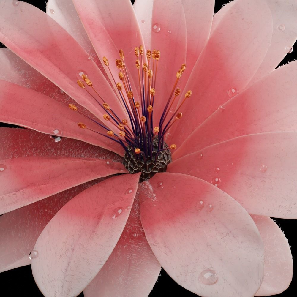 Unique Flower 04 3D model_2