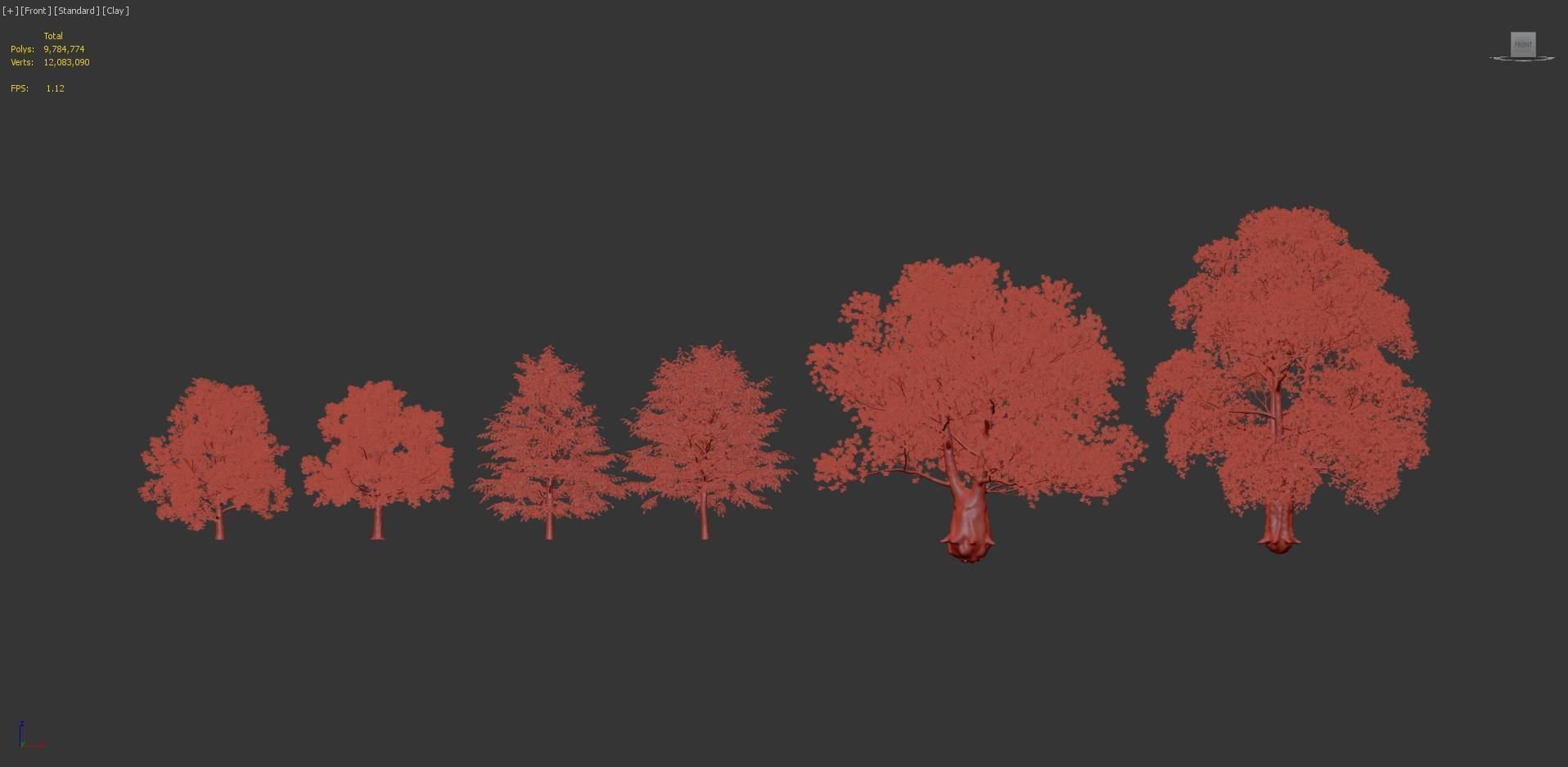 Tilia platyphyllos Bigleaf linden 3D model_7