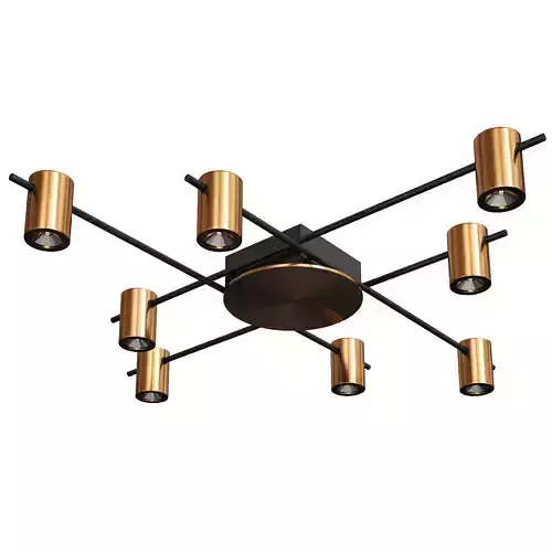 Aigle Ceiling Light 8