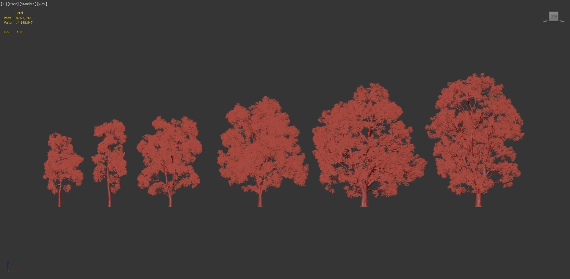 Fraxinus excelsior European ash 3D model_7