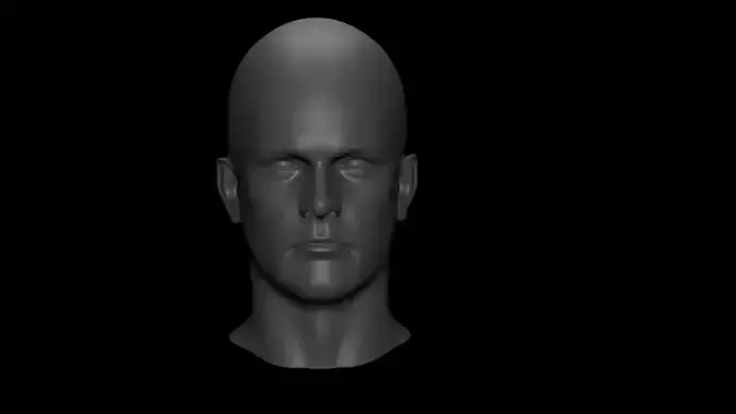 Male Head Free 3D model