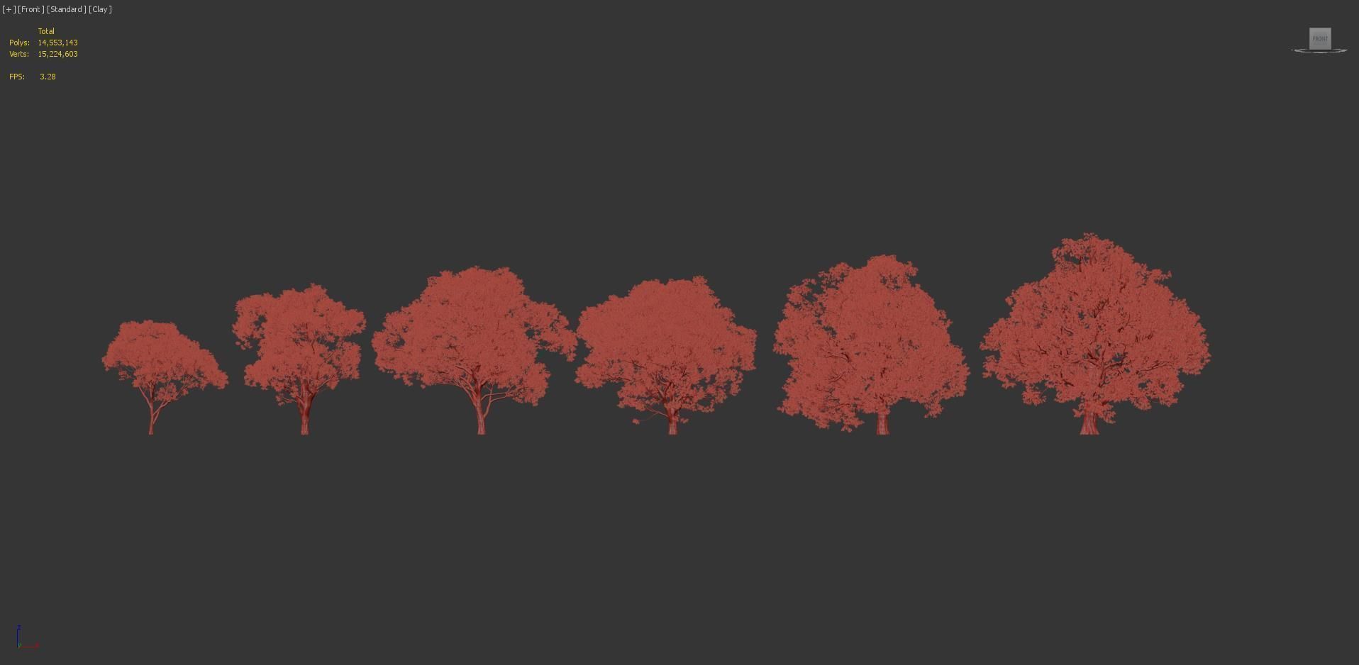 Celtis australis Mediterranean hackberry 3D model_7