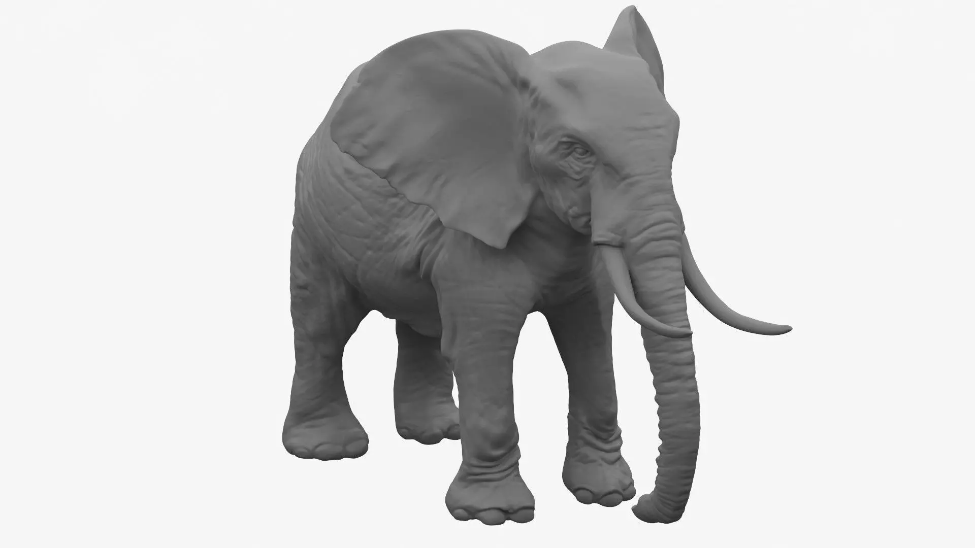 Elephant 3D print model
