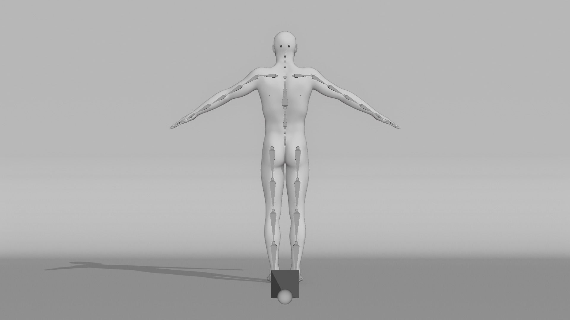 Realistic Male - Lucas 3D model_13