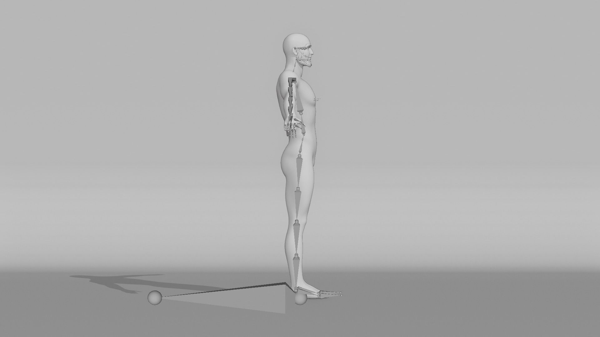 Realistic Male - Lucas 3D model_12