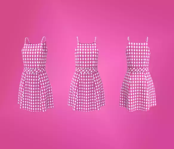 Women Woven Barbie Dress