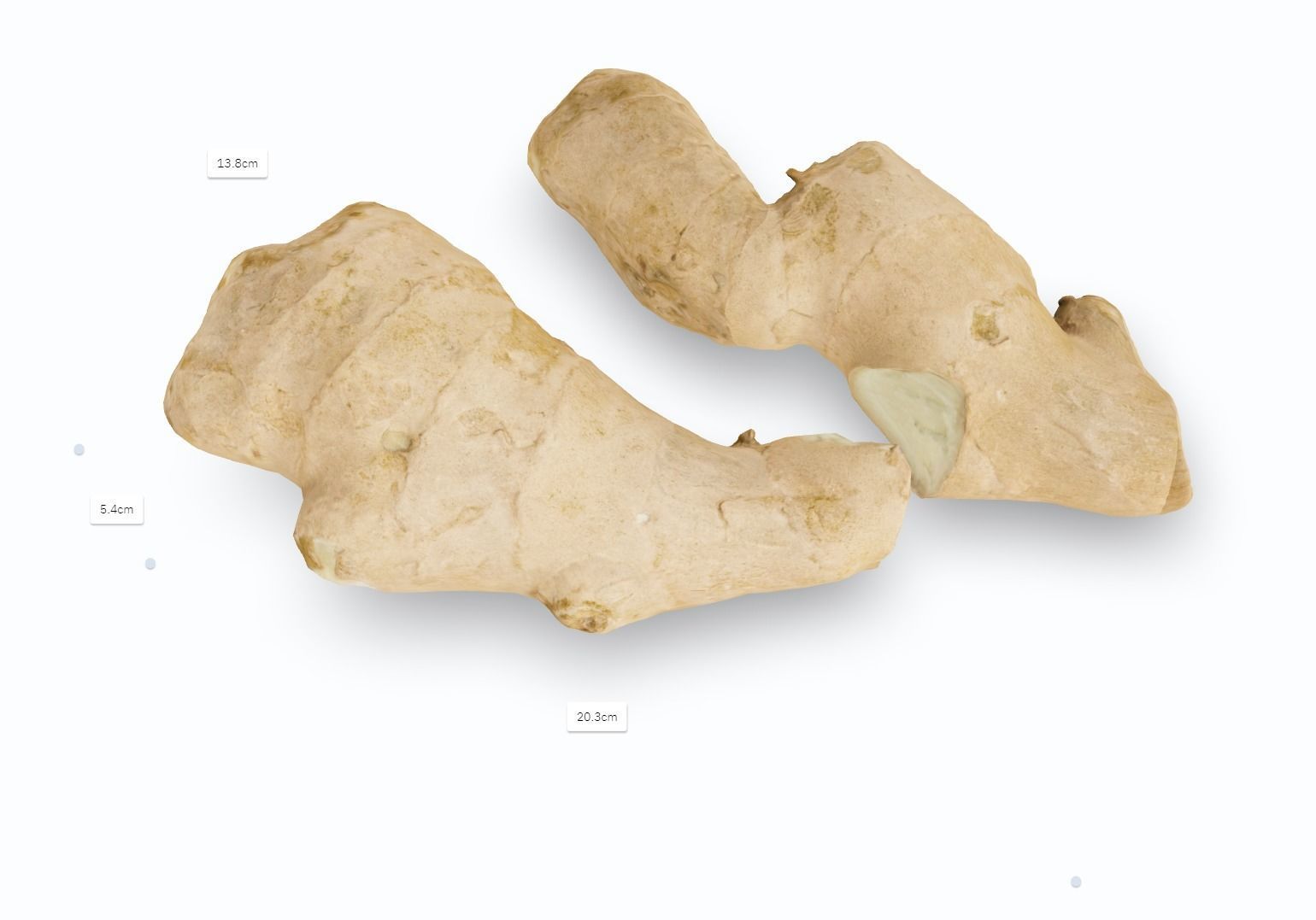 Ginger - Photogrammetry Scan Low-poly 3D model_11