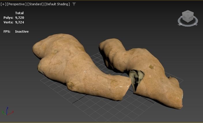 Ginger - Photogrammetry Scan Low-poly 3D model_3