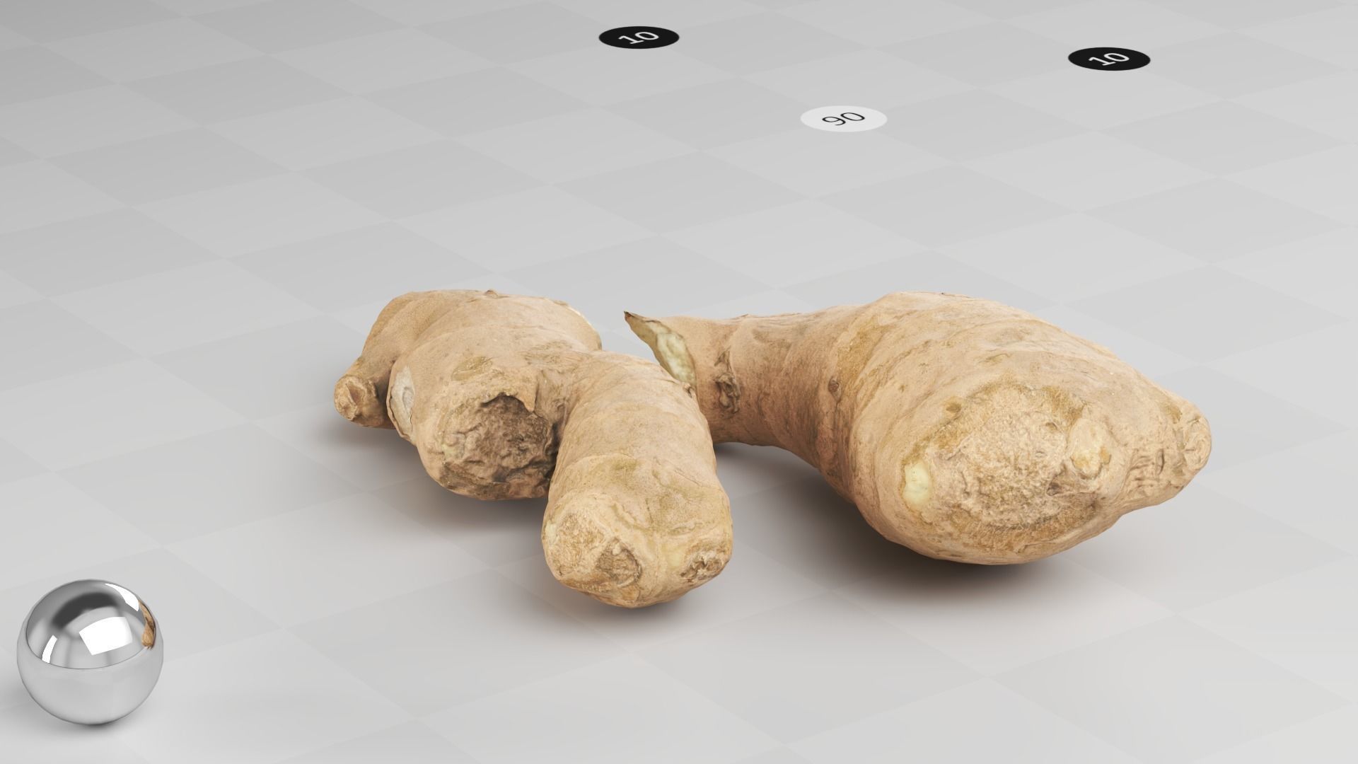 Ginger - Photogrammetry Scan Low-poly 3D model_6