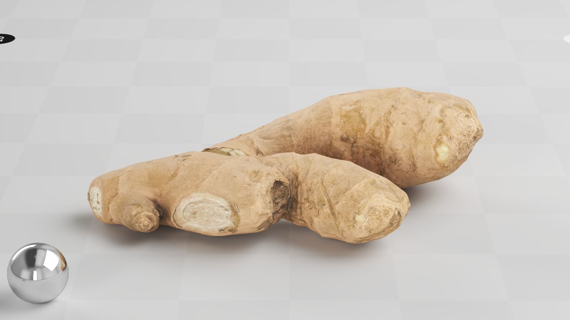 Ginger - Photogrammetry Scan Low-poly 3D model_5