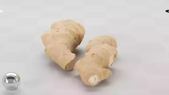 Ginger - Photogrammetry Scan Low-poly 3D model