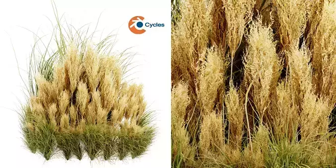 Collection plant vol 509 - blender model