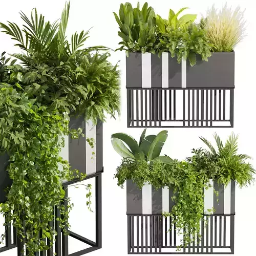 Collection plant vol 511 - pothos - palm - grass - 