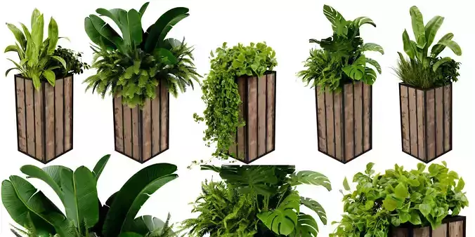 Collection plant vol 514 - blender model