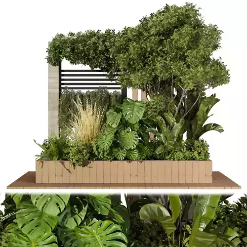 Collection plant vol 515 - garden - leaf - tree- wood 3D model