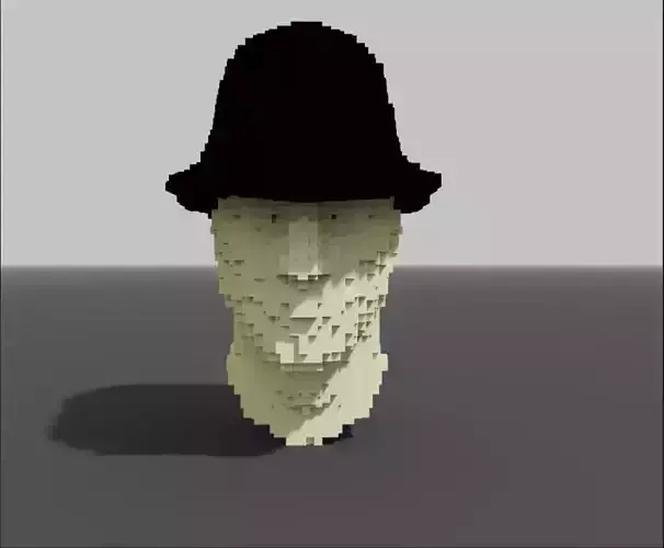 Voxel head with hat