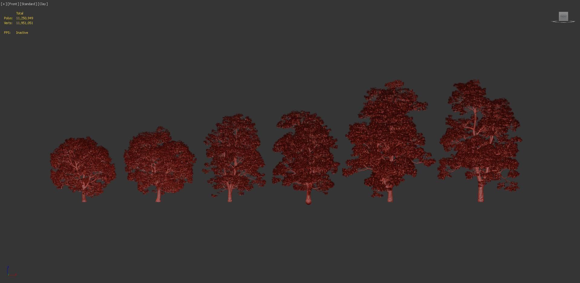 Acer campestre Hedge maple 3D model_7