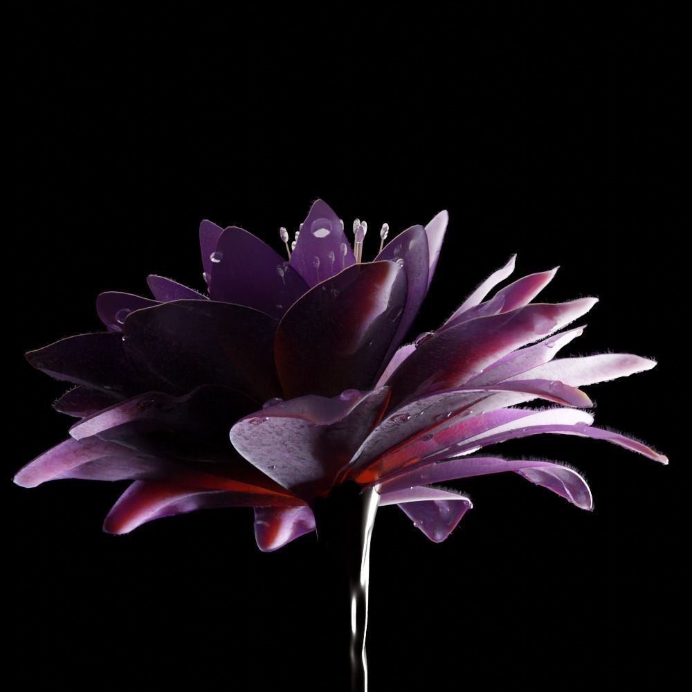 Unique Flower 05 3D model_1