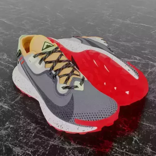 NIKE 3D SHOES - PEGASUS TRAIL 2 Low-poly 3D model