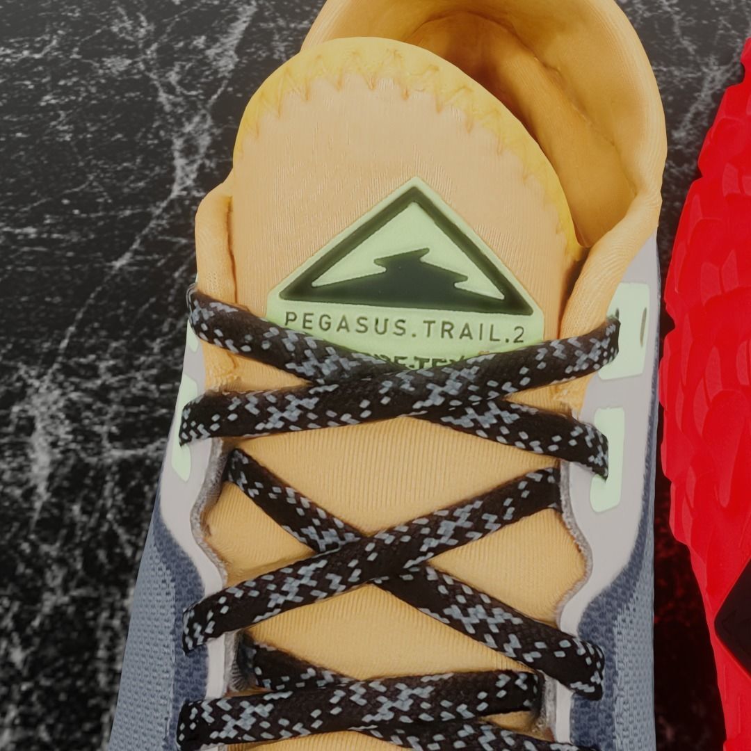 NIKE 3D SHOES - PEGASUS TRAIL 2 Low-poly 3D model_9