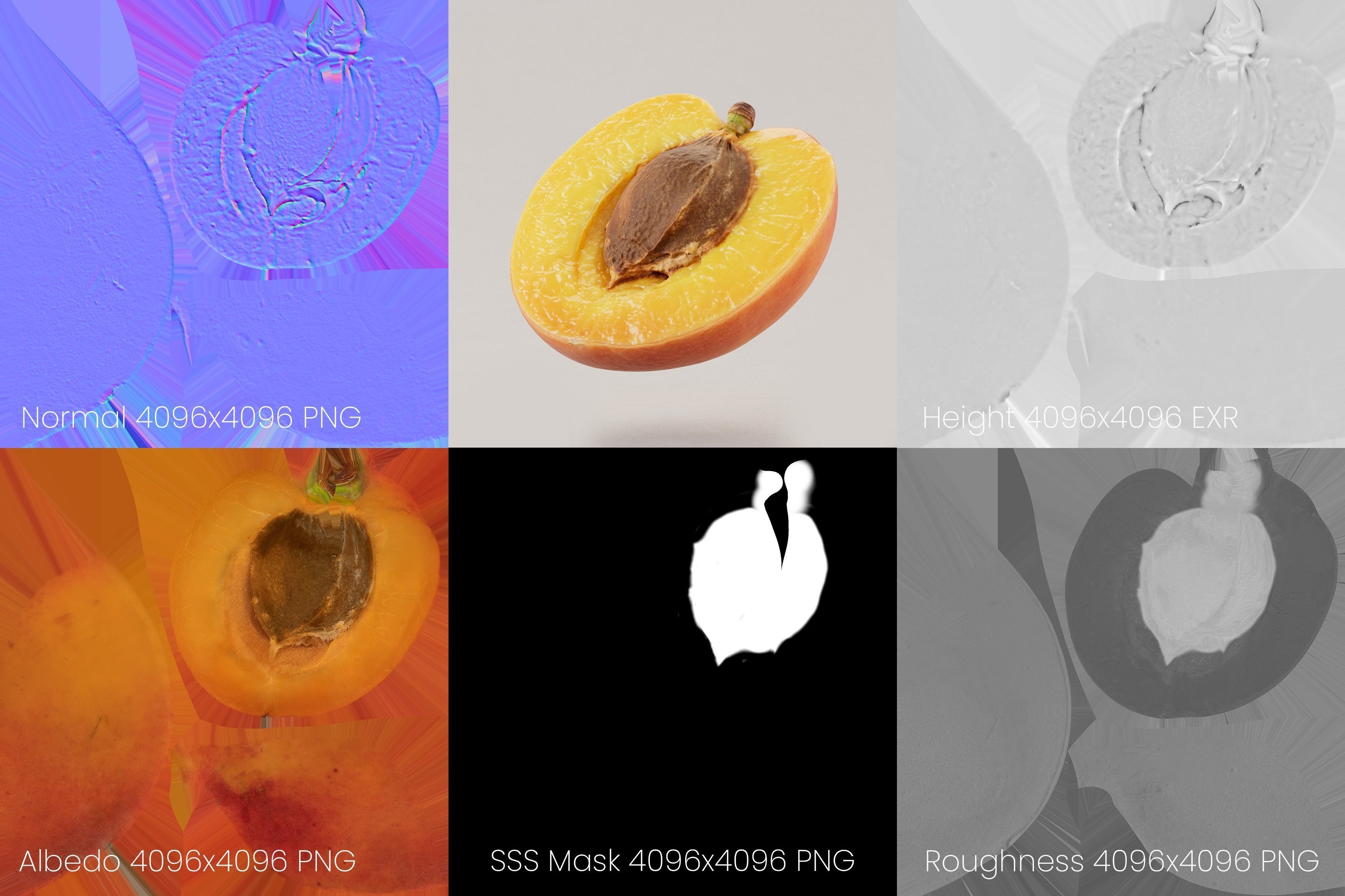 Apricot Half Sliced Photoscan 3D model_8