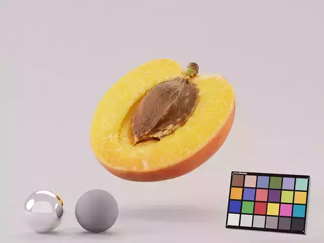 Apricot Half Sliced Photoscan 3D model