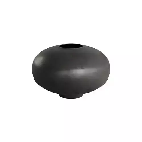 Surround Vase  3D model