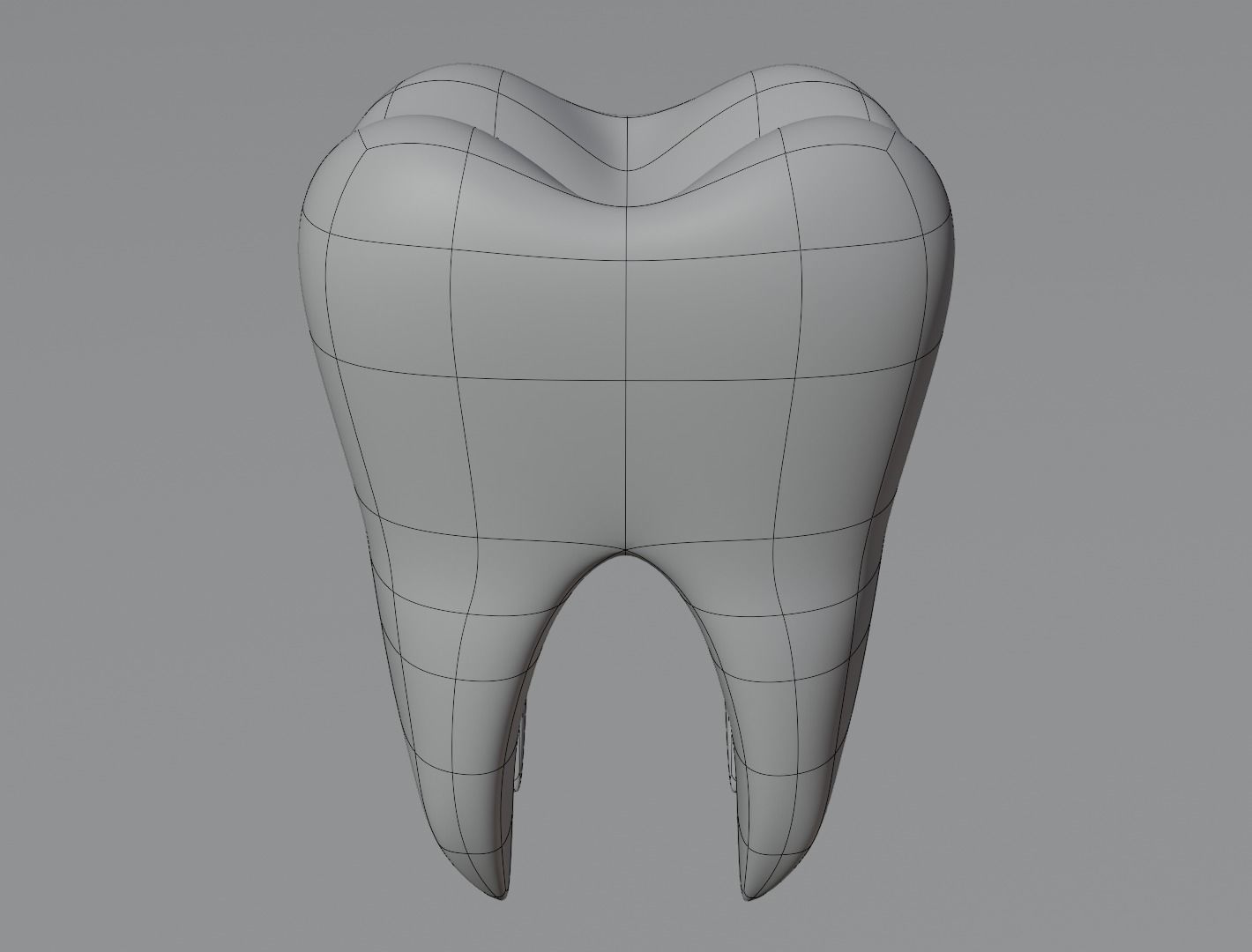 Tooth 3D model  Low-poly 3D model_14