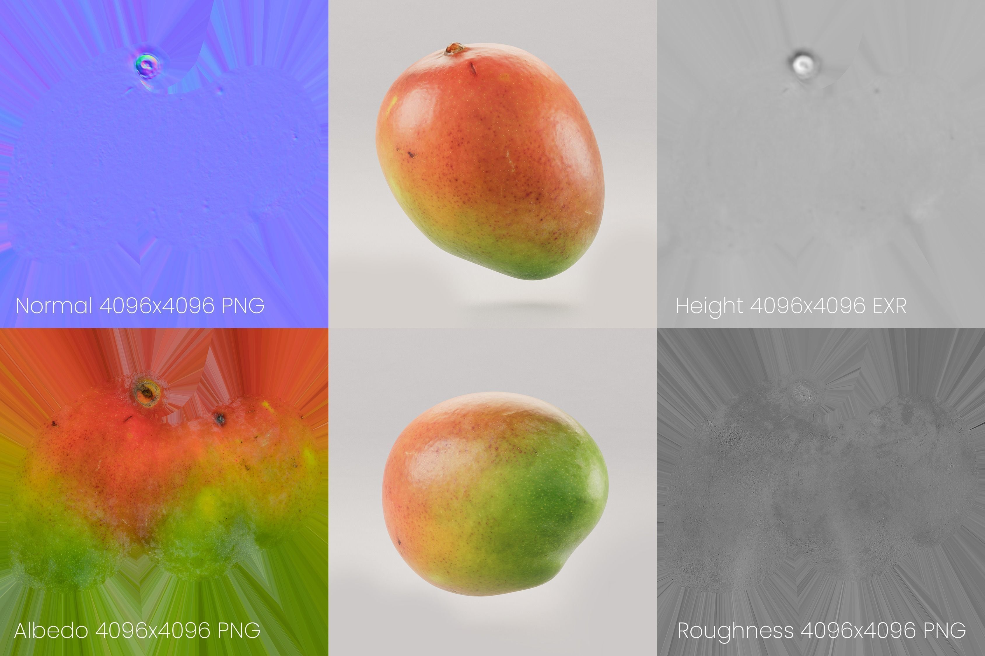 Mango Photoscan 3D model_8
