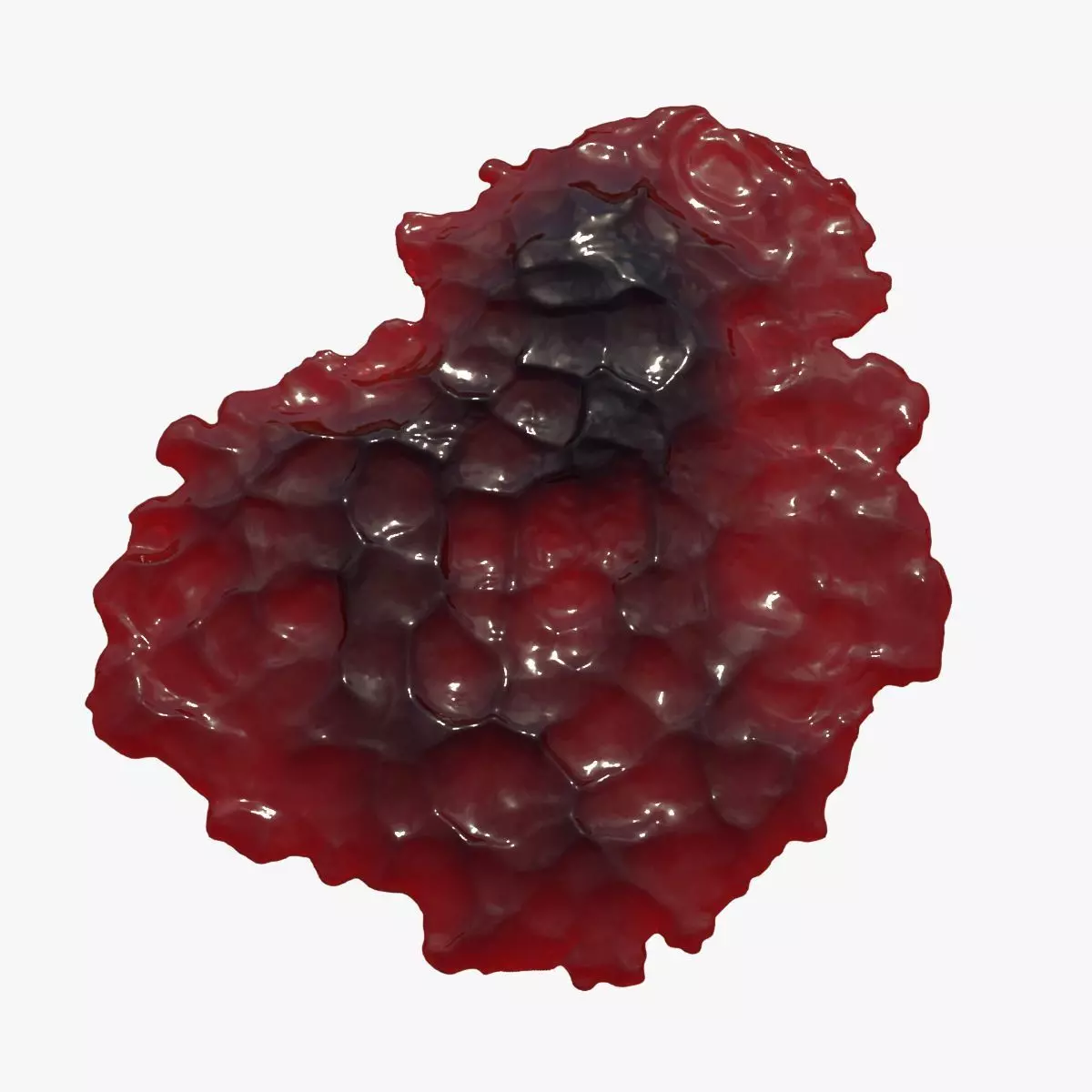 Animated Blood Spilling 12 3D model_0