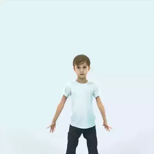 Story 01C Animated Rigged Casual Boy Low-poly 3D model
