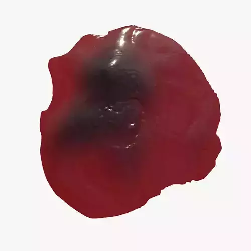 Animated Blood Spilling 10 3D model