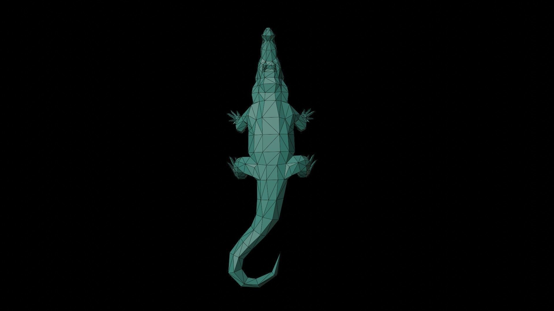 crocodile  Low-poly 3D model_11