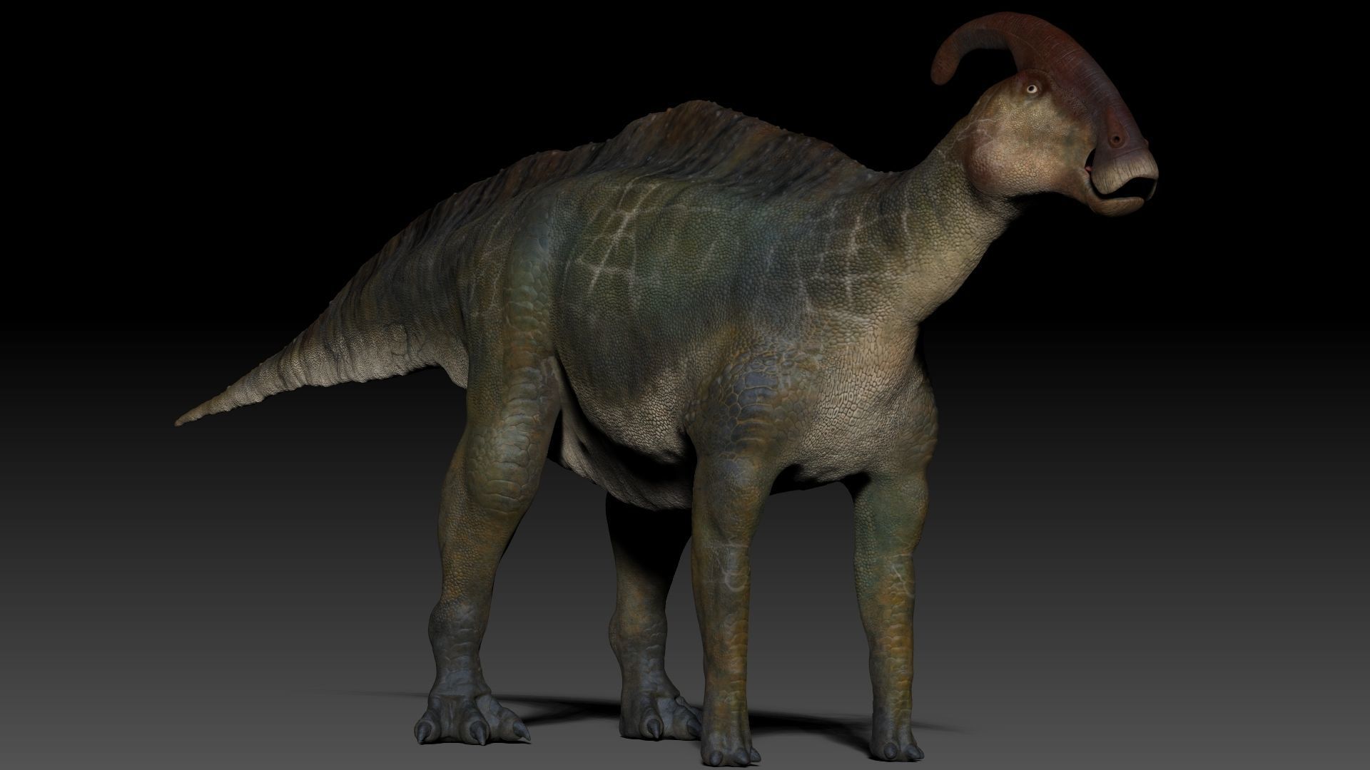 Dinosaur Parasaurolophus Sculpt Project 3D model_11